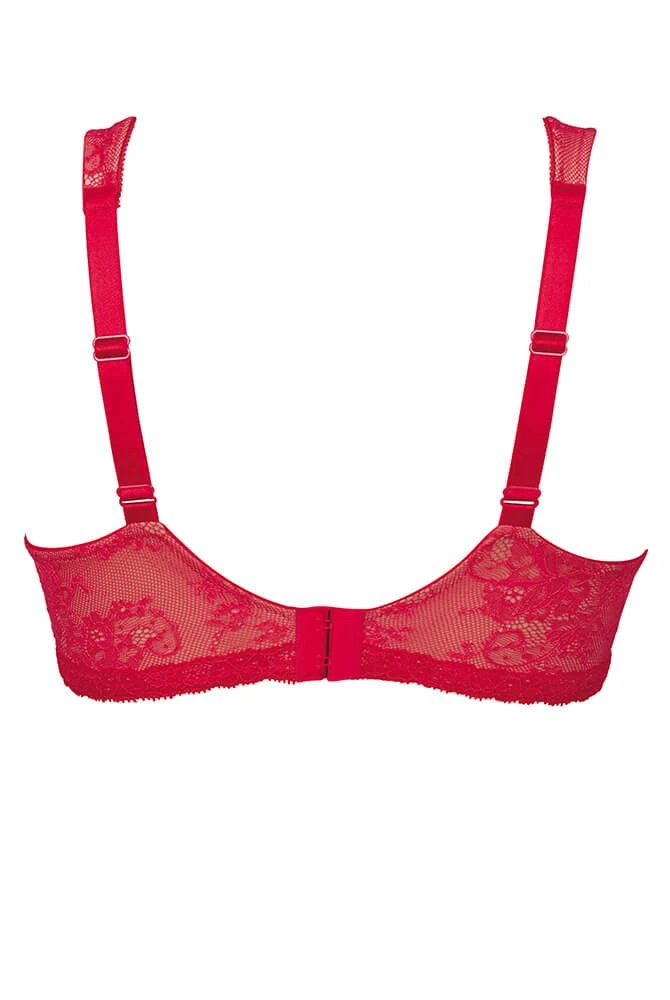 Rosa Faia Abby Bügel BH Mit Molding 7 Rosa Faia Abby Bügel BH Mit Molding - Image 5